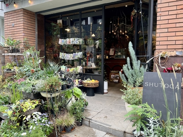 ����ȥ��̿�